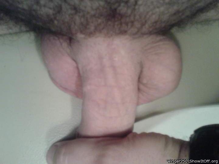 Testicles Photo from winger250
