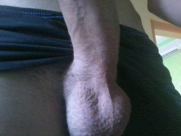 Photo of a bald-headed mouse from Luxe0N