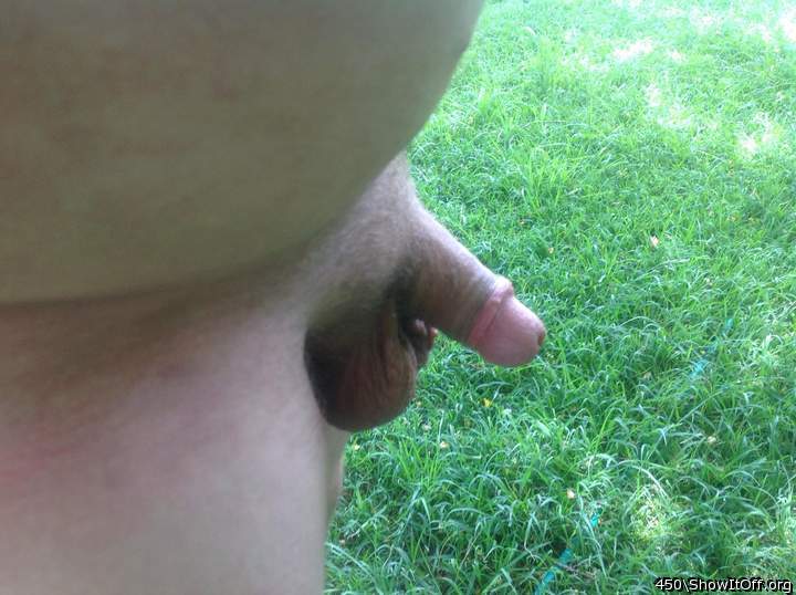 Photo of a penis from 450