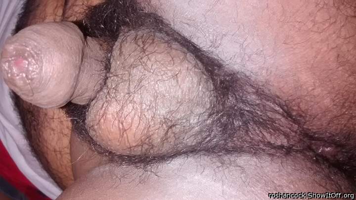 Photo of a sausage from roshancock