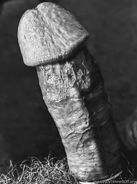 Photo of a middle leg from meatyguy