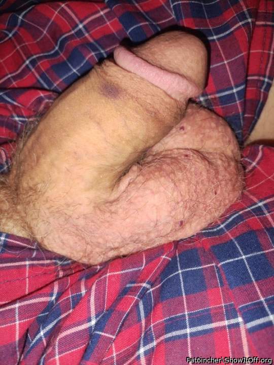 Photo of a bald-headed mouse from Fat6incher