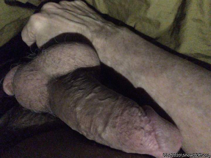 Photo of a short leg from Pibo2020