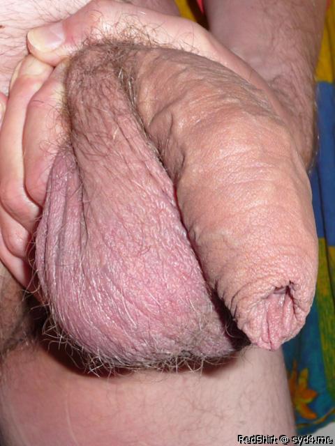 Photo of a bald-headed mouse from RedShirt