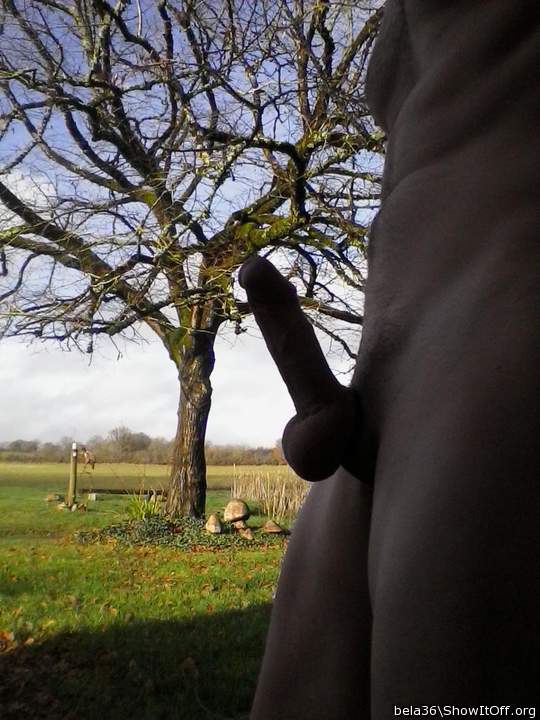 Love the picture. And the cock