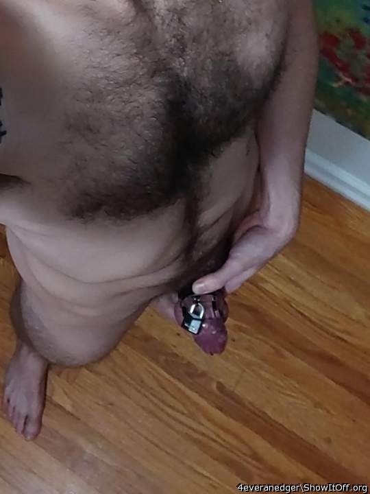 Nice little cage  