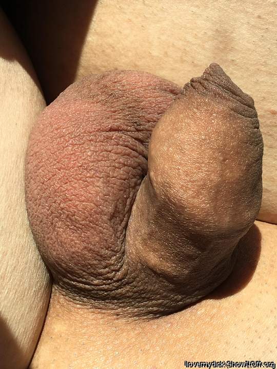 Love to fill my mouth with that lovely dick