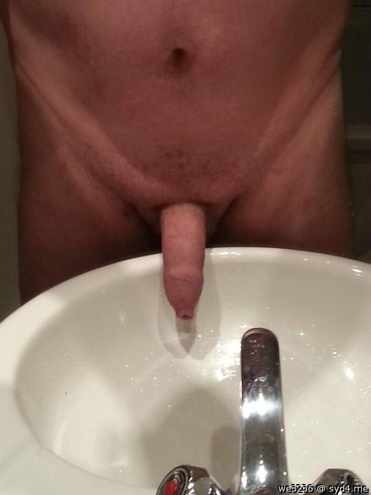 Photo of a horn from we3236