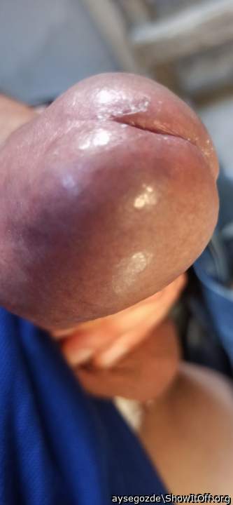 Testicles Photo from aysegozde