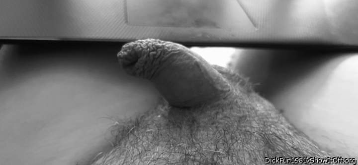 Photo of a pecker from DickFun1981