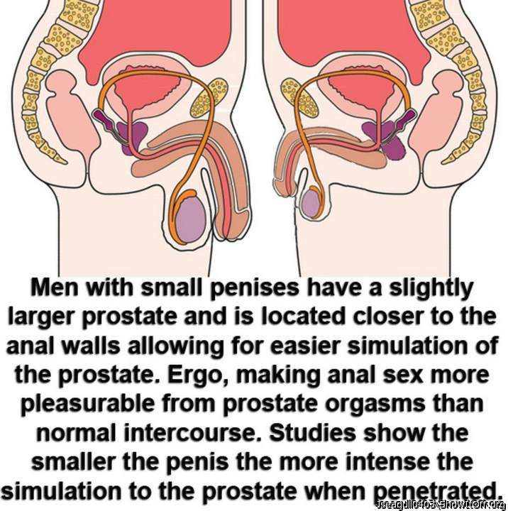 Wow... That's very interesting information