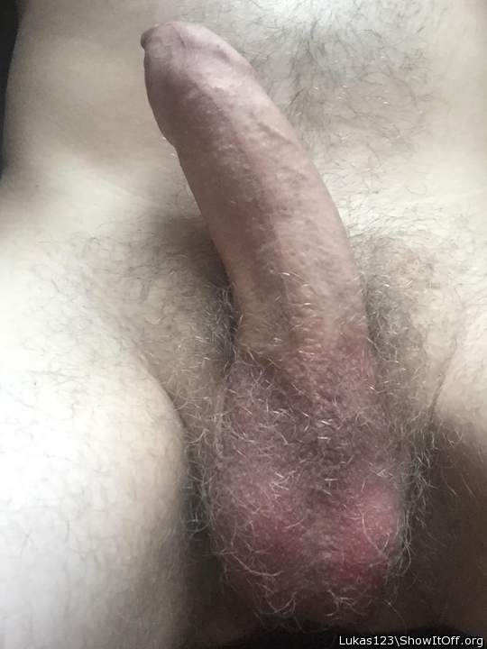 Photo of a lizard from Lukas123