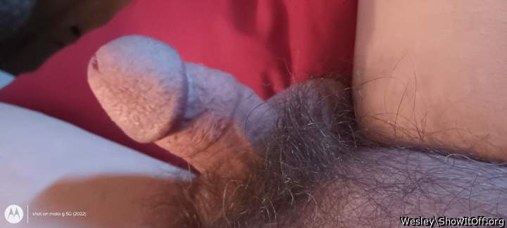 Nice and thick and I love the bush too