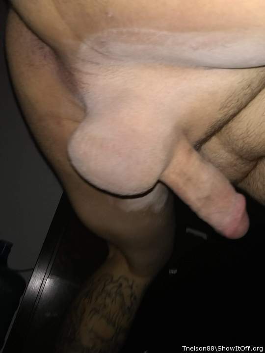 Photo of a horn from Tnelson88