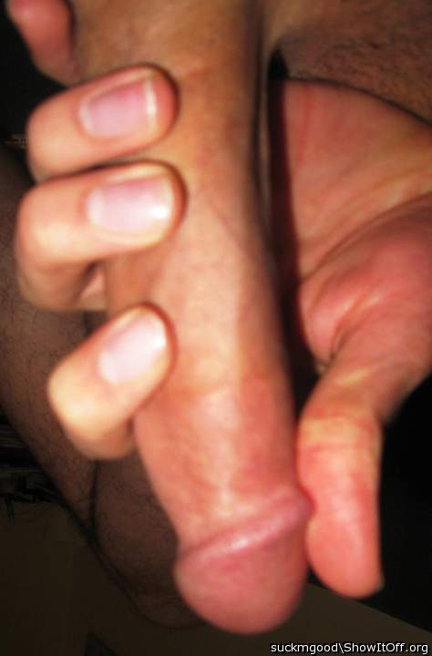 my tool x