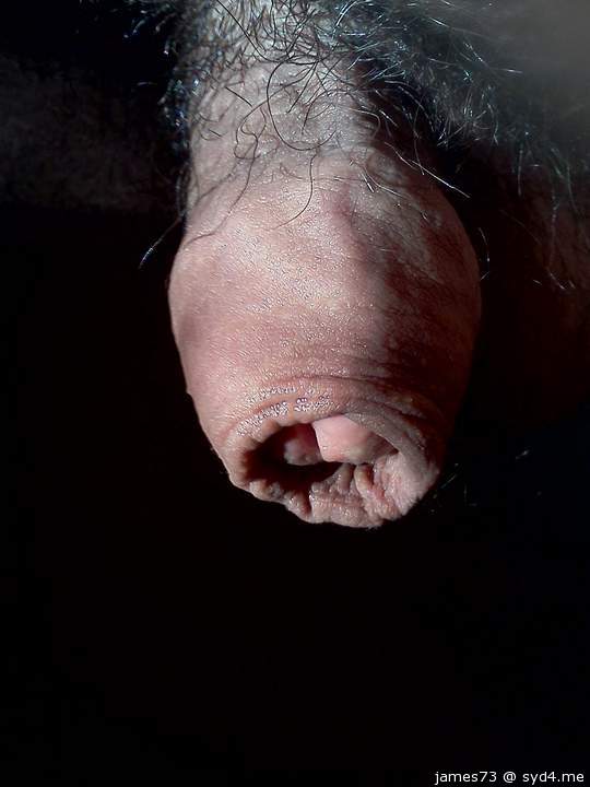 Photo of a third leg from james73