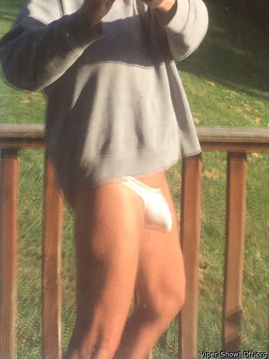 Photo of a middle leg from Viper