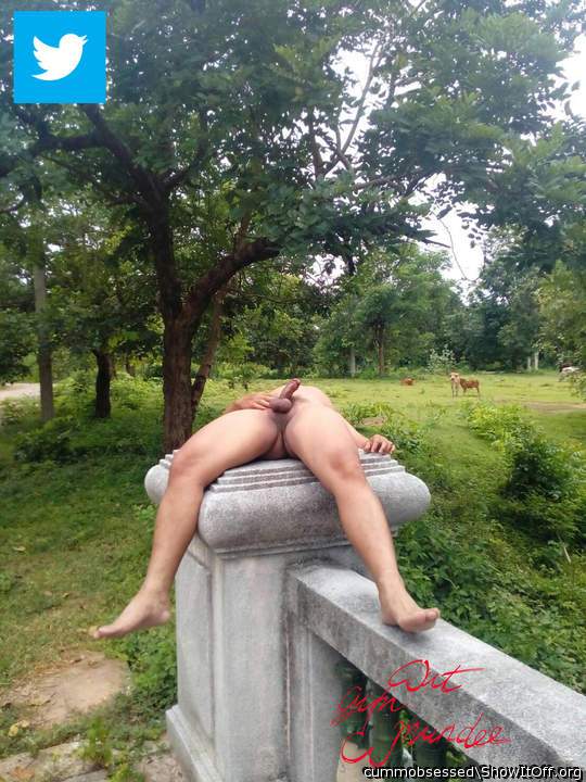 Photo of a stiffie from cummobsessed
