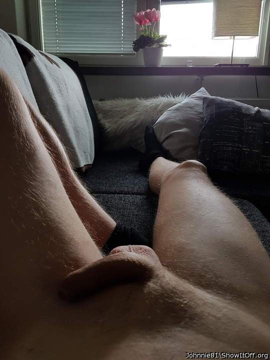 Yey or ney?