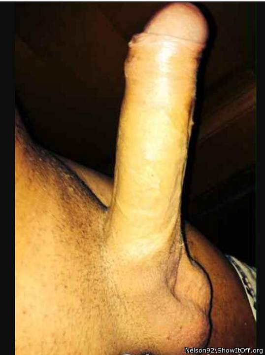 Photo of a middle leg from Nelson92