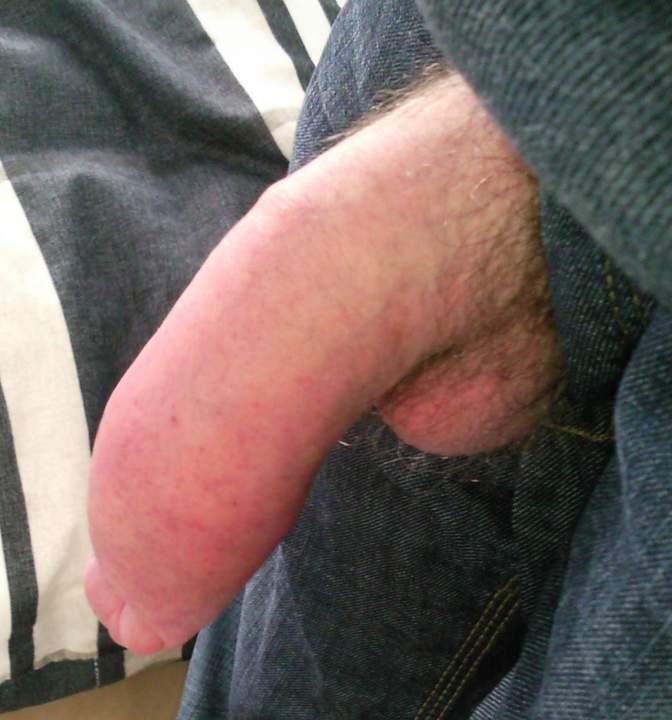 Photo of a rooster from xander69