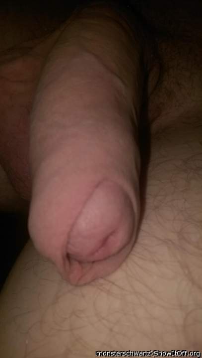Photo of a cock from monsterschwanz