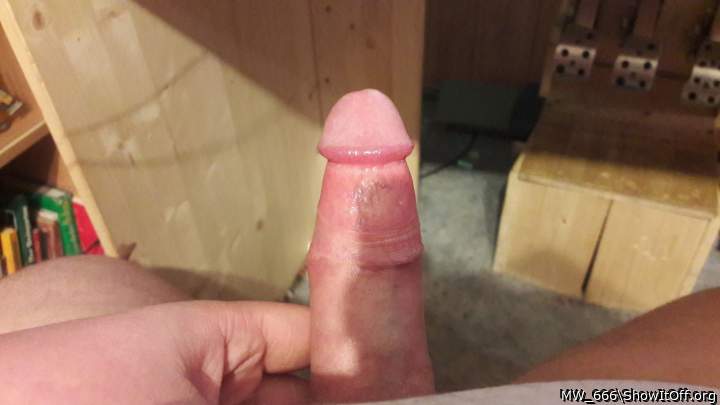 Photo of a horn from MW_666