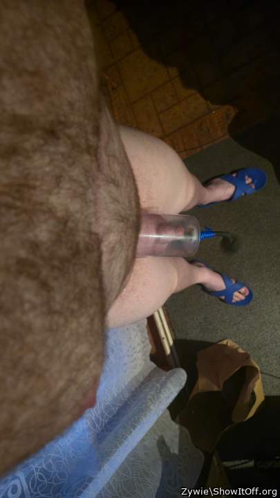 Photo of a dong from Zywie