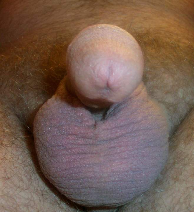 Testicles Photo from lilsoftee