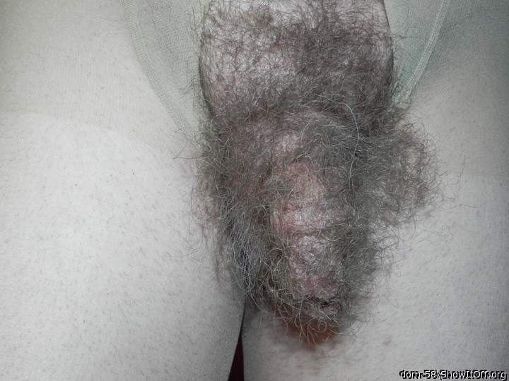 Photo of a cock from dom-58