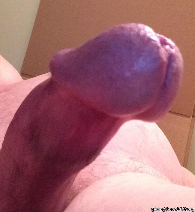 What a delicious mouthful ! 