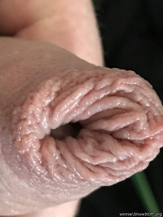 nice close-up  