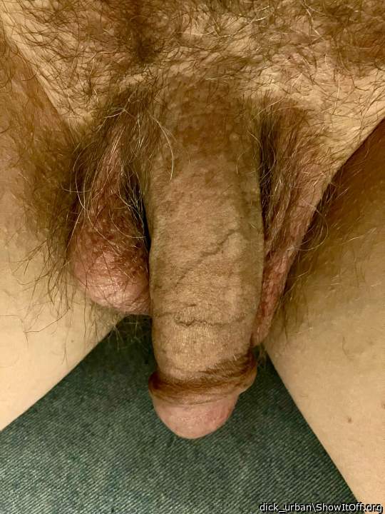 on the sofa watching TV, dick resting