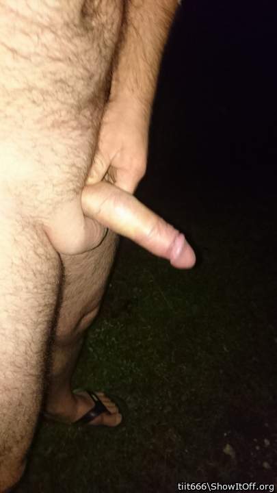 Photo of a third leg from tiit666