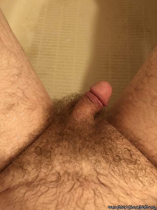 HairyDick