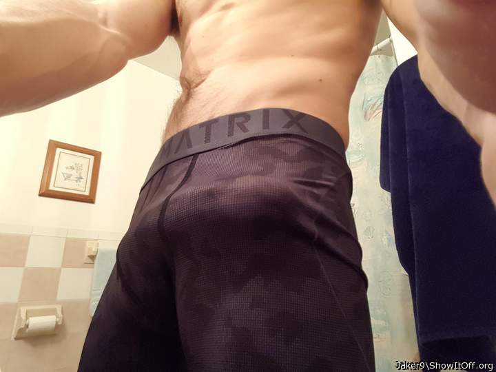 Photo of a bat from Jaker9