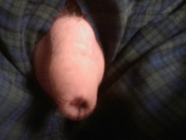 I would love to pull your foreskin back to expose your magni