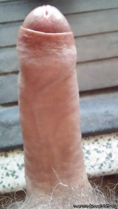Photo of a third leg from marcriz
