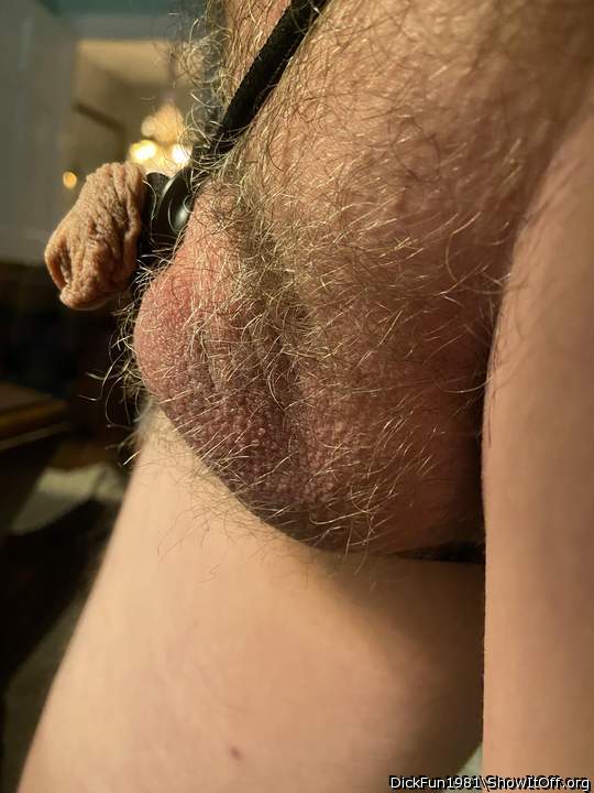 Photo of a power tool from DickFun1981