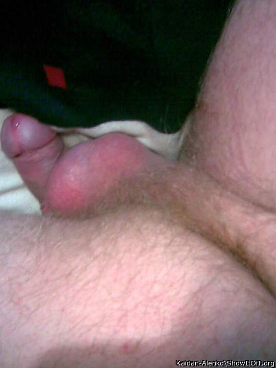 A little bit of my furry "backyard"