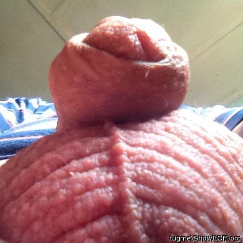 nice flaccid cock and balls