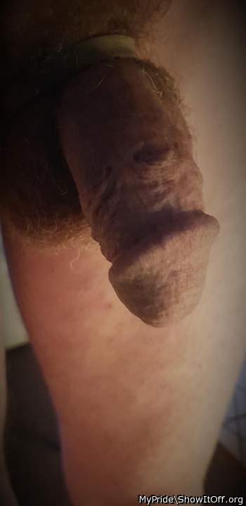Photo of a snake from Mypride
