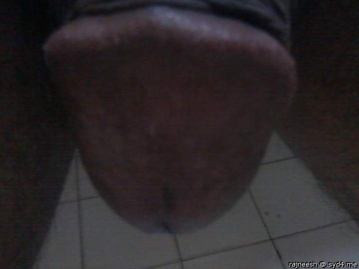Photo of a cock from rajneesh