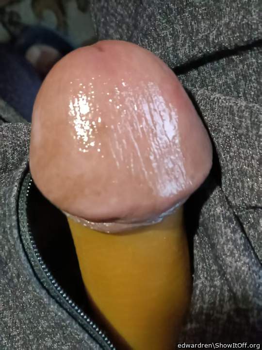 Photo of a bat from edwardren