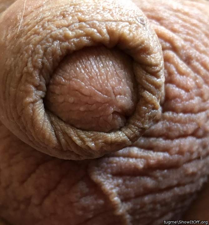 Photo of a thing from tugme