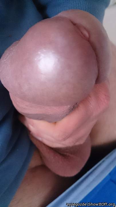 Photo of a dong from aysegozde