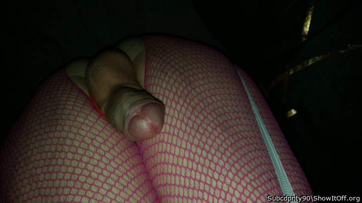 Photo of a rooster from Subcdpnty90
