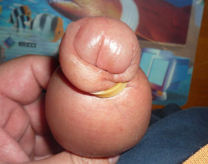 Adult image from nylonlover