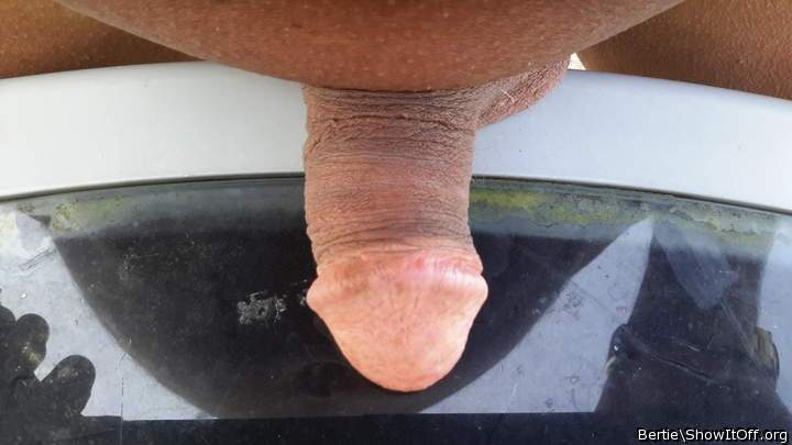 Photo of a love muscle from Bertie