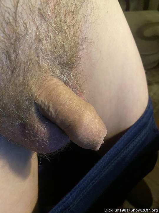 Photo of a rooster from DickFun1981